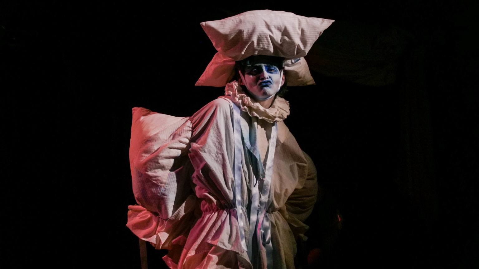 Photo d'une performance de drag show